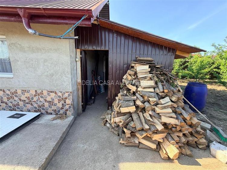 Exclusiv! Casa de vanzare Belcesti - 28