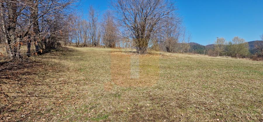 Teren intravilan de 4.000 mp în Bistrița – Alexandru cel Bun