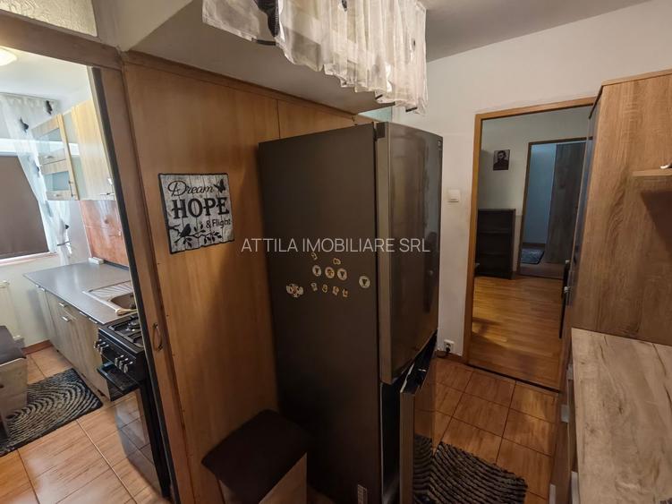 Girocului- str Iliesu 2 camere 330 euro - 2
