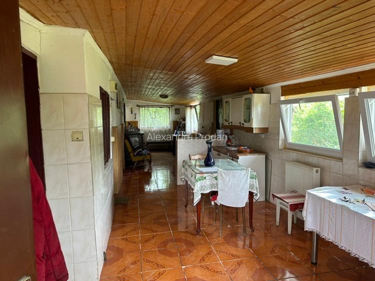Amarasti Nemoiu in apropiere de Dragasani si Valcea - 2