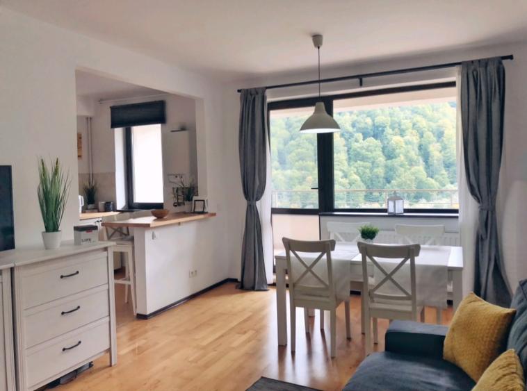 Apartamemt 2 camere cu vedere
