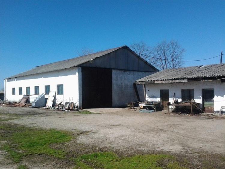 Teren intravilan Mogosesti | Giurgiu | 370.000mp | Adunatii Copaceni
