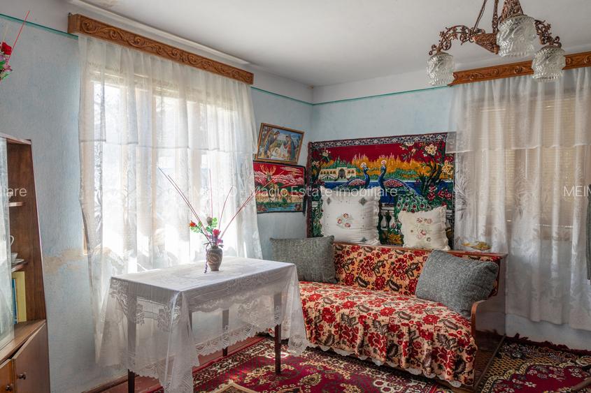 Remus Lăcătușu 58, Măgirești — pentru cei care au decis că vor curte - 3