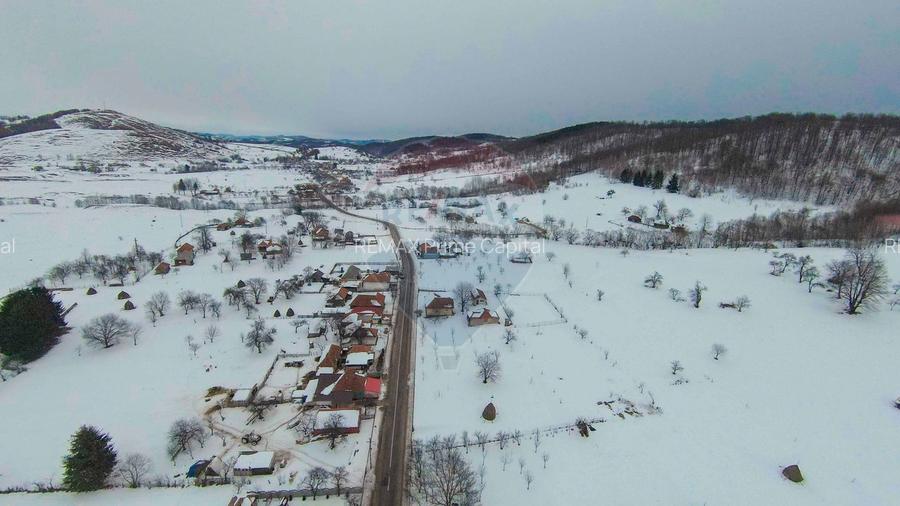Casă cu livadă, 4 camere din cărămidă, de vânzare în zona Bratca-Damiș - 25