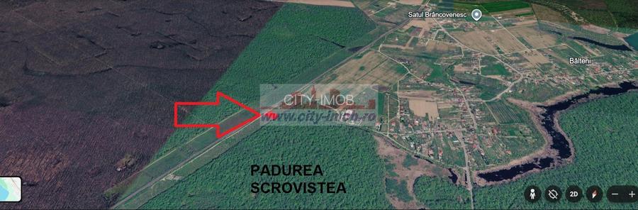 VANZARE TEREN, Sat.Balteni, com. Peris, Padurea Scrovistea, jud IIlfov - 10