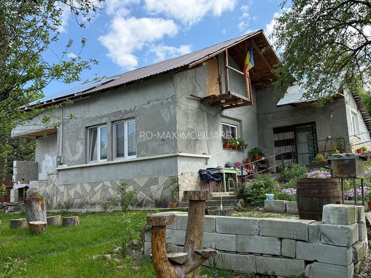 2 Case + teren 1390 mp langa parcul central Provita de Sus - 41