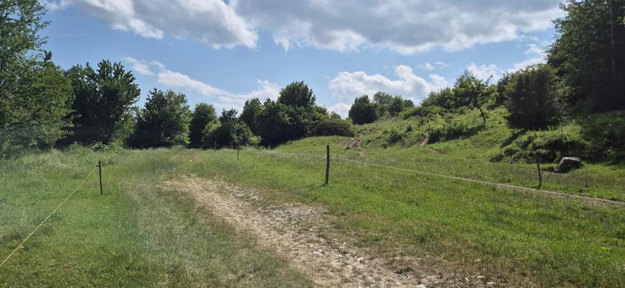 Teren extravilan Tohan cu priveliste