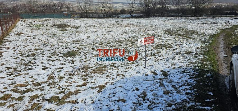 Teren Intravilan Construibil în Micești, Alba Iulia - 2