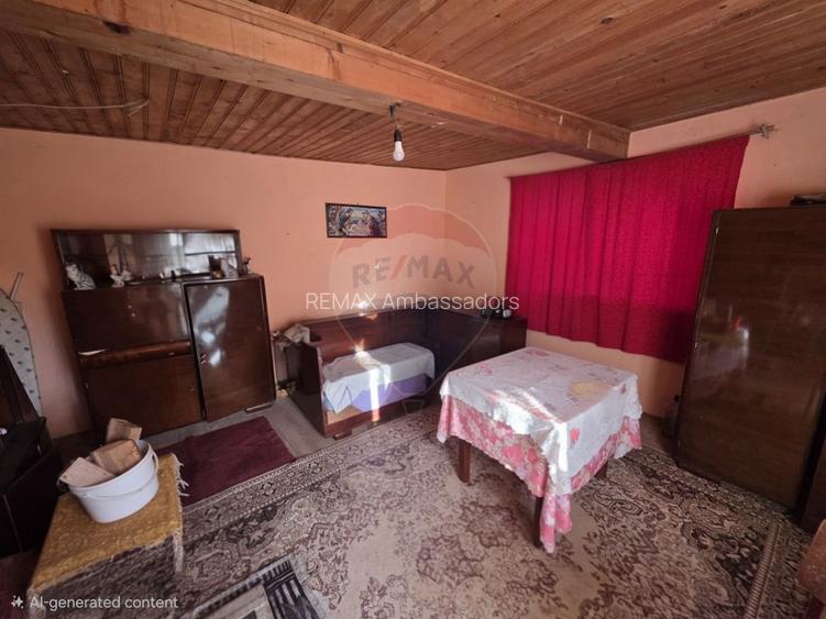 Gospodarie de vanzare in Giulvaz, judetul Timis - 19