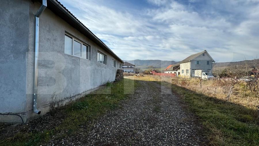 Afacere la cheie, casa de locuit si 28 ari de teren in Arcalia
