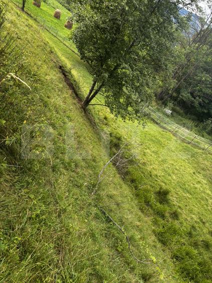 Teren intravilan de vânzare, 6500mp + o casă bătrânească, în Voroneț