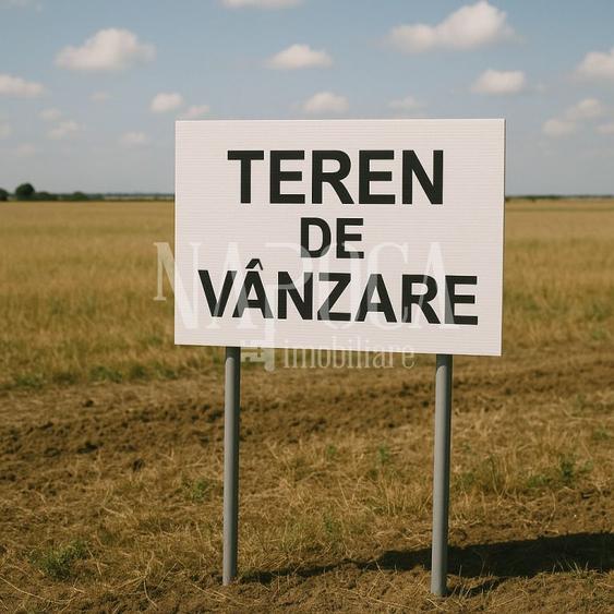 Teren intravilan pentru constructii de vanzare in Salicea