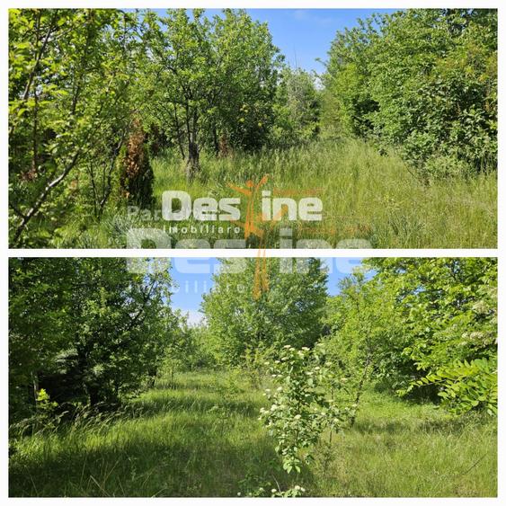 Tomesti-Chicerea, teren intravilan 3523 mp
