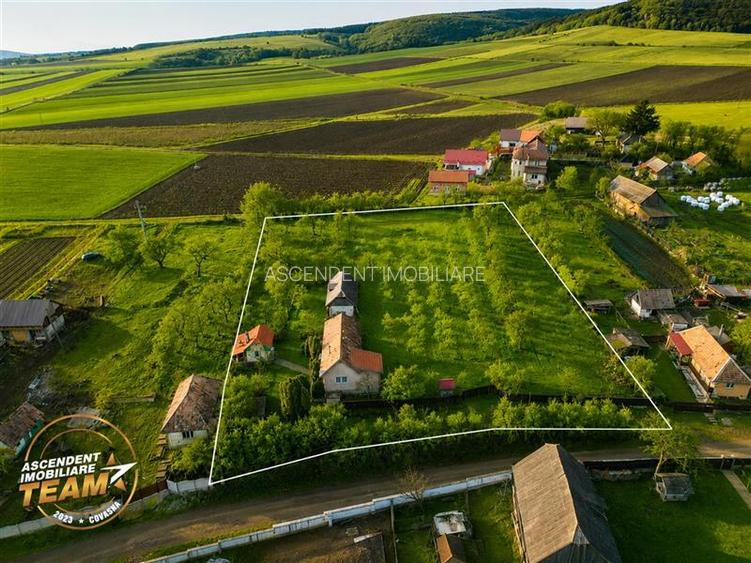 FILM! 5.000mp teren intravilan cu casuta rustica, Dalnic, Covasna - 20