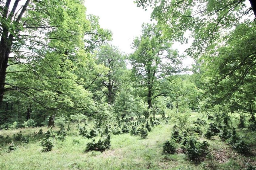 Teren de vanzare 4713 mp investitie | Poiana Brasov - 4