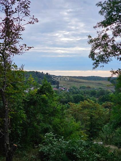 Teren cu priveliste spre vale, la padure, zona linistita, la 1h30 de Bucuresti - 6
