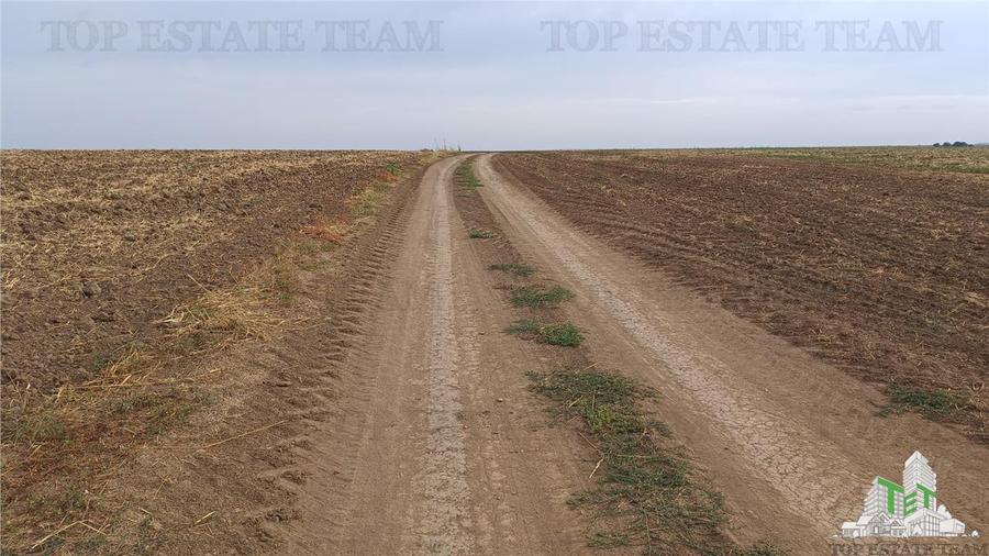 Oferim spre vanzare 6 loturi de teren extravilan (agricol) in Petrachioaia ILFOV