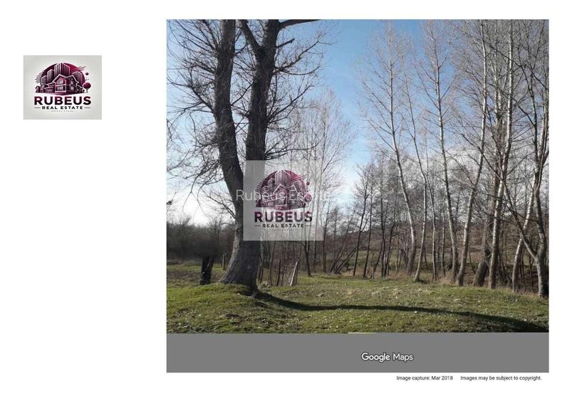 Oportunitate rară! 1 ha pădure Corcova – teren cu potențial real - 2
