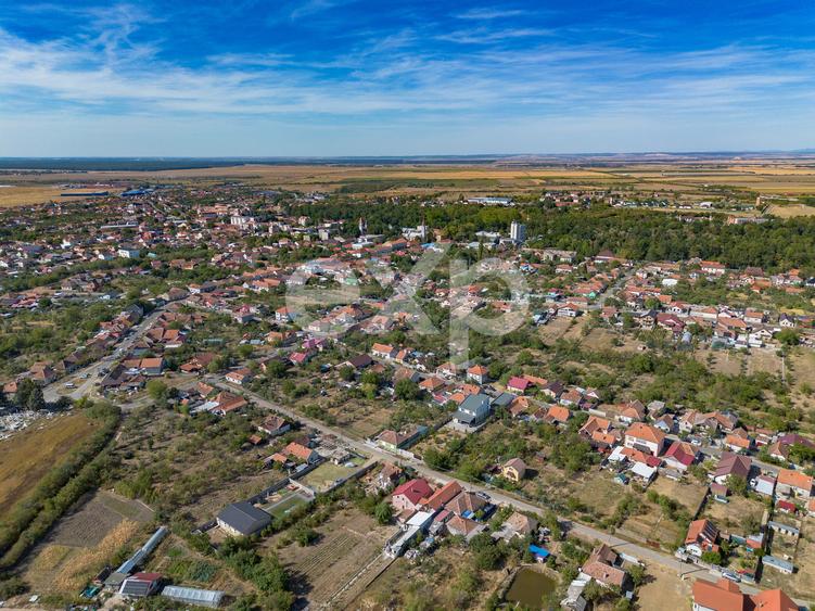 De vânzare: casă cu peisaj în Buziaș
