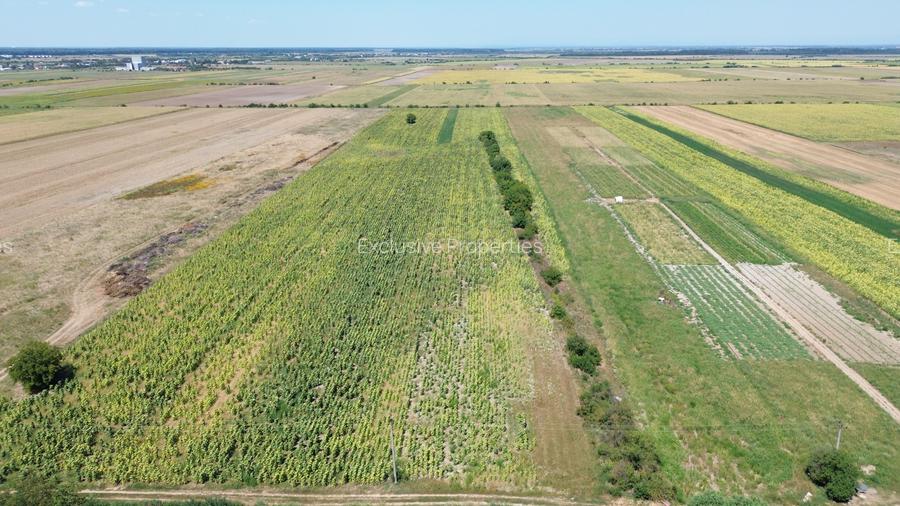 Teren intravilan in Darza  (langa Buftea) deschidere 24m, pret negociabil - 3