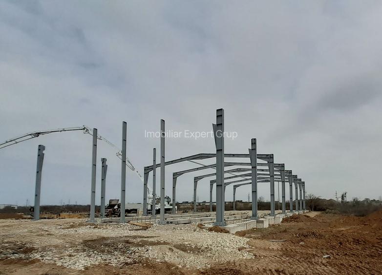 Doua hale noi alaturate - zona Drumul Intre Tarlale - 4