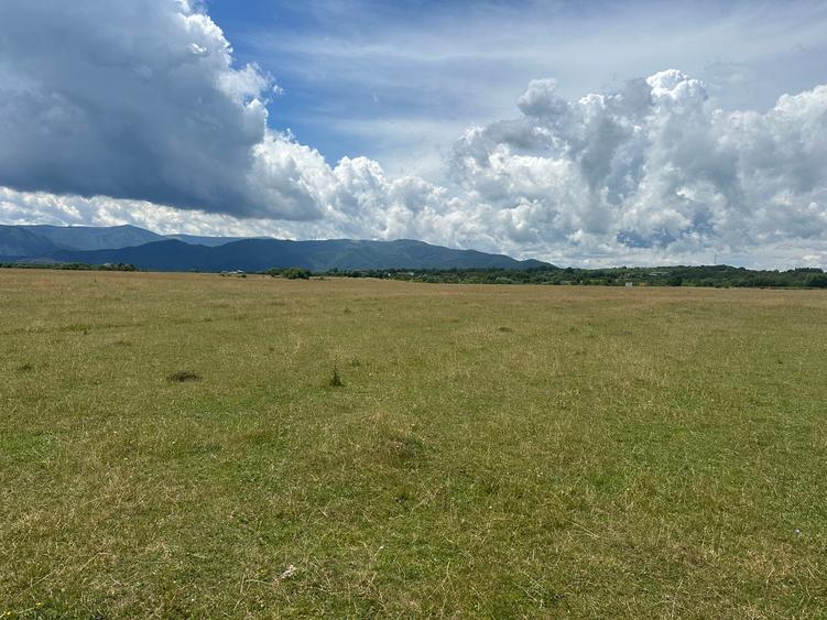 Teren intravilan 905 mp in Cisnadie - zona Casa de Apa
