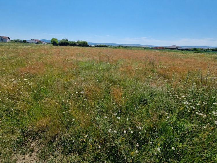 Teren Intravilan Ampoi 2| 800 mp|Deschidere 24 ml |Utilități la Limită