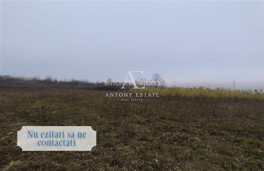 Antony Estate | Vanzare Teren Intravilan,40 euro/mp,Paleu,Oradea - 7