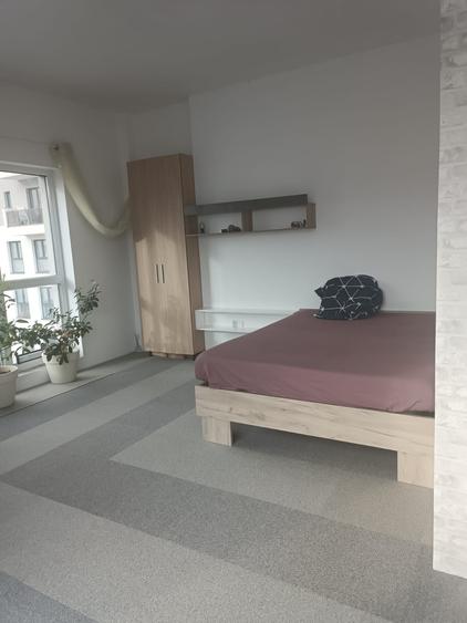 Apartament de 2 camere, semidecomandat, 60mp + terasa 40mp, zona teilor