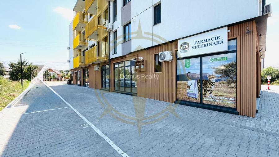 DOM00485 - Inchiriere studio in Corbeanca - zona centrala - 15