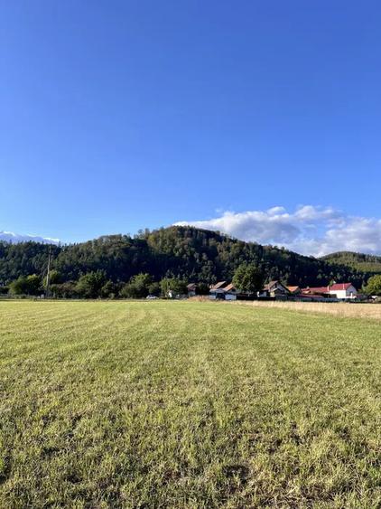 Teren 650 mp Zarnesti