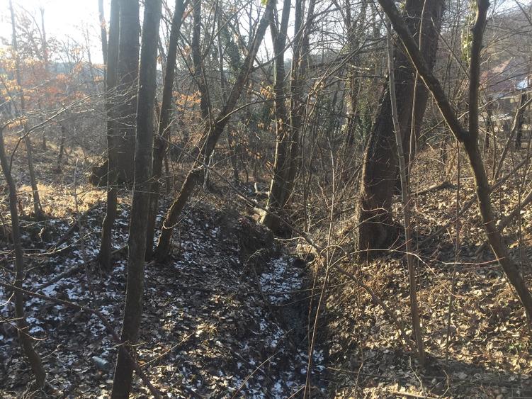 DOMENIU EXCLUSIVIST Băile Govora: 2500 mp cu Helesteu, Pârâu, Pădure, Utilități