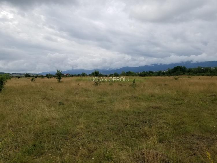 Teren intravilan 550mp - Cisnadie, zona aerodrom Magura,direct de la proprietar! - 5