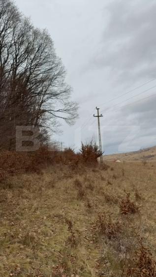 De vanzare Teren extravilan 3300mp - padure, loc. Salicea, jud. Cluj