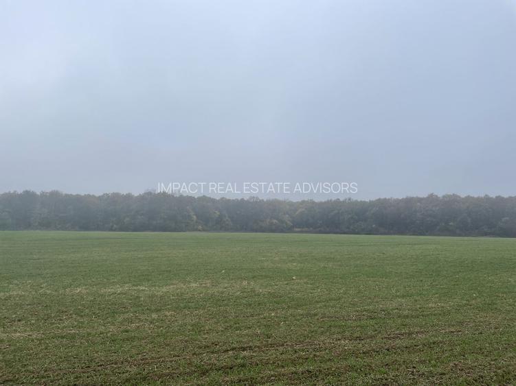 9400 mp | Ideal pentru investitie | Tunari | Deschidere la padure - 8