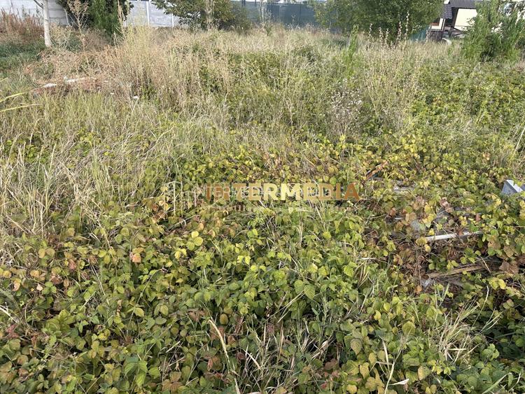 TEREN INTRAVILAN 480 MP I APA, GAZ, CURENT I DESCHIDERE LA STRADA 25 ML - 4