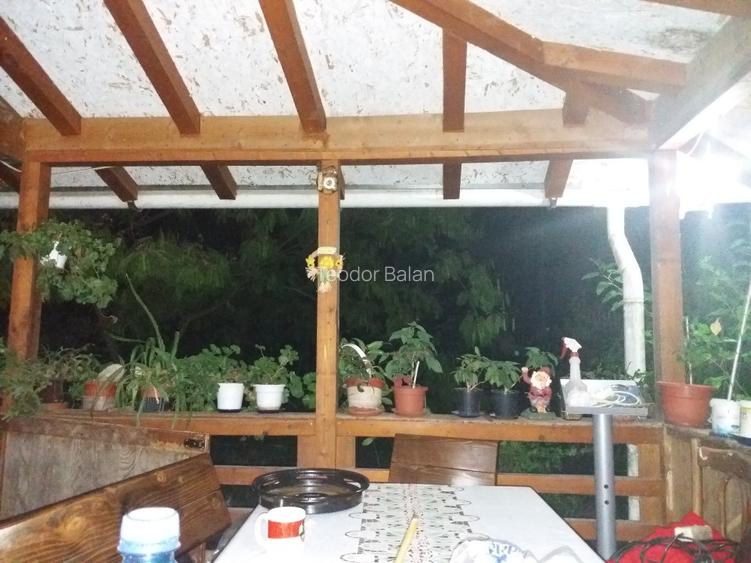 Vând casă în orașul Buziaș sau schimb cu apartament la parter, în Timișoara. - 13