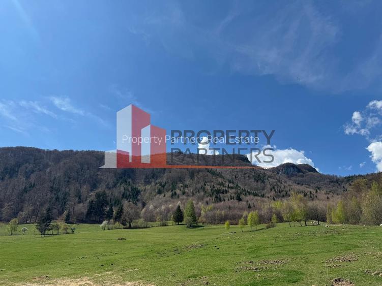 Terenuri Bran - Predelut  Priveliște către Bucegi și Postăvaru - 15