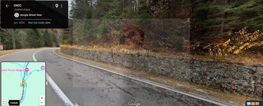 Teren extravilan tip pădure de vânzare 500 mp Arefu Transfăgărășan - 5