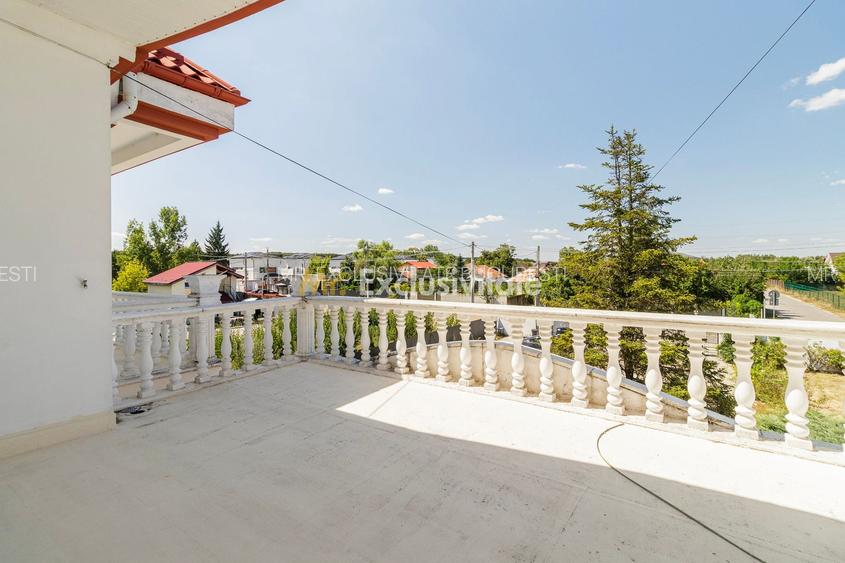Domeniu privat 5.000 mp, cu reședință de 625 mp și piscină, Corbeanca - 29