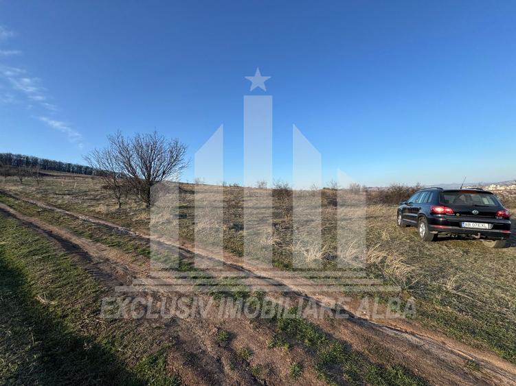 Teren intravilan | De vanzare | 1000 mp | 26 ml deschidere | Paclisa