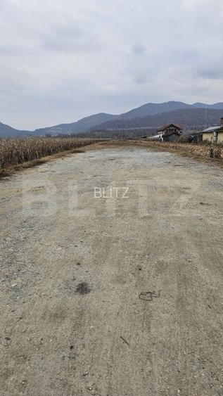 Oportunitate de Investiție de Top în Șoimuș - 2600 mp teren intravilan - 3
