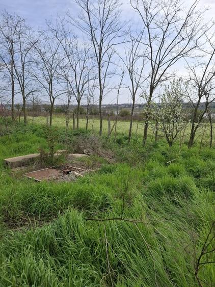 Teren intravilan premium de vânzare – Tuzla, litoralul românesc – 2.500 mp