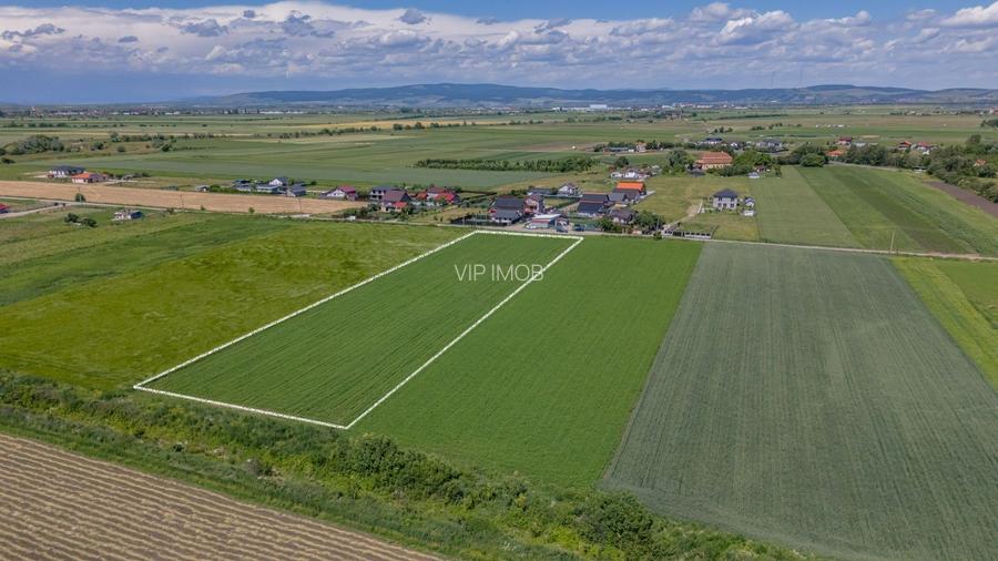 Teren 9.300 mp Stupini | Front 45.59 m la Asfalt | PUG Zonă L1c - 6