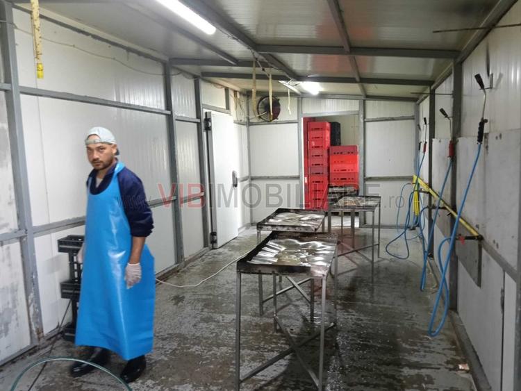 Afacere de vânzare: Fermă Avicola – Ialomița
