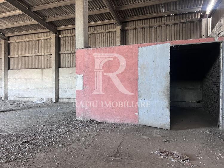 PLATFORMĂ INDUSTRIALĂ STRATEGICĂ ÎN ORADEA – POTENȚIAL OPERATIONAL