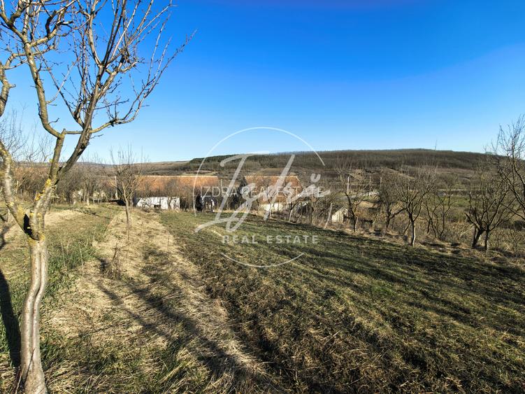 Casa de vanzare la tara cu 1303 mp teren - 18
