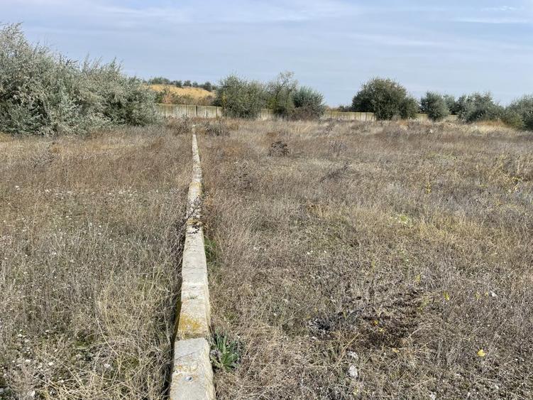 Ovidiu 6 ha teren intravilan construibil îngrădit și platforma betonata.