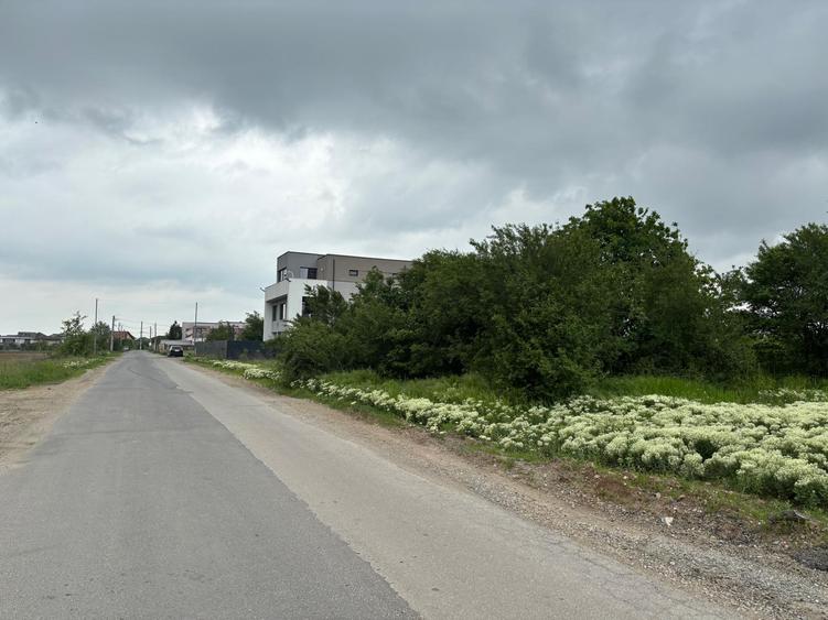 Teren 1000 mp în Mogoșoaia, la 5 minute de pădure