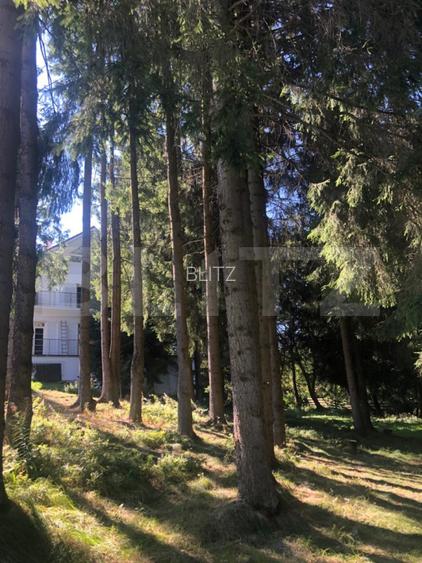 Afacere la cheie! Vila clasificata, 5 camere, 300 mp, teren 1600 mp - 17